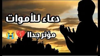 دعاء للميت الدعاء الذي سوف يسعد كل ميت من أحبائك صدقة جارية القارئ عبدالجليل الزناتي 