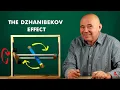 The Dzhanibekov effect