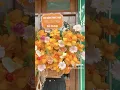 Download Lagu Hana flower whispering