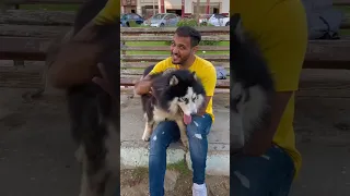 البنت الشريره والكلب لوكي بحبكم  البنت الشريره والكلب لوكي بحبكم