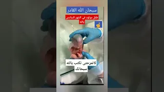 طفل مولود في الشهر السادس سبحان الله القادر      دندنها