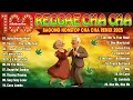Download Lagu RELAXING BEST REGGAE CHA CHA SONGS 2025 🌺BEST OF REGGAE 2025 🌺OLD REGGAE REMIX NONSTOP