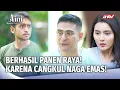 Download Lagu Cangkul Naga Emas Dan Kotak Antik Pengganda Uang!! | Aini Malaikat Tak Bersayap Eps 229 FULL