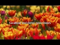 Alex Warren - You Can't Stop This (live) | Lyrics