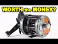 Cheap Reel vs Abu Garcia CATFISH PRO Which Wins