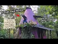 Download Lagu RUMAH RAJA RIMBA 30 TAHUN PILIH TINGGAL SENDIRI BIKIN RUMAH UNIK 300 JUTA DI DALAM HUTAN