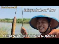 Download Lagu HERAN !!LUBANG BELUT DI KELILINGI RUMPUT ISINYA BELUT BABON