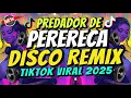 Download Lagu PREDADOR DE PERERECA (DISCO REMIX) Viral TikTok 2025 - Dj Johnrey