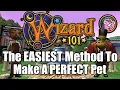 How To Make a PERFECT PET in Wizard101