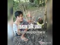 Download Lagu Ngakak!! Story WA bocil yang lucu
