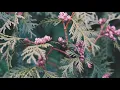 Sessions • Episode 1
