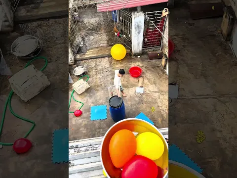 Cơn mưa bóng bay😊😇