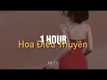 Download Lagu Hoa Điêu Thuyền – Yamix Hầu Ca Ft. Gấu x KProx「 Lo - Fi Ver.」/ 1 Hour Audio Lyrics Video