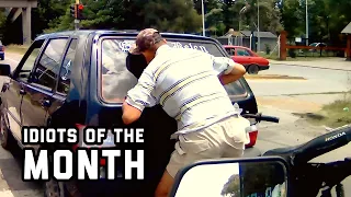 Idiots of the Month | Idiots in the Wild