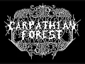 CARPATHIAN FOREST - I Am Possessed + Lyrics