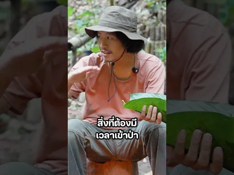 ทำไมไฟถึงสำคัญที่สุดเวลาอยู่เข้าป่า? #มิ้นท์นวินดา #ปักหมุดชาแนล #โจโฉ #บ้านต้นไม้ #ป่า