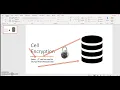 SQL Server Cell level Encryption