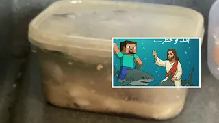 My Movie 864 360p30 Mp3 Mov 