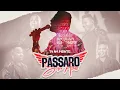 Download Lagu Tá Na Mente - Pássaro Sem Asas (DVD 10 Anos) [VIDEO OFICIAL]