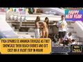 Tyga sparks reunion rumours with his Kylie Jenner-lookalike ex Amanda Trivizas