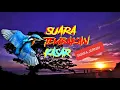Download Lagu Masteran roll tembak masteran para burung juara