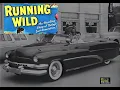 Running Wild 1955 movie