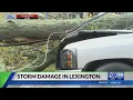 Lexington residents react to storm damage