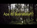 Lagu Sunnatullah adalah karakter atau sifat Allah, Tuan Semesta Alam.