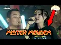 Download Lagu ADELLA TERBARU 2021 - MISTER MENDEM - YENI INKA - FENDIK