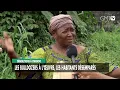 Download Lagu [#Reportage]  Démolitions à Owendo : les bulldozers à l’œuvre, les habitants désemparés