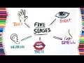 5 SENSES HOW TO DRAW
