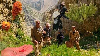 IRAN Nomadic Life Nomadic Adventure In The Zagros Mountains Nomadic Lifestyle Of Iran 