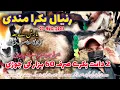 Download Lagu Wednesday bakra mandi ranyal chakri road rawalpindi last update 27 aug 2025 | sunnybhaivlog | 