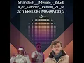 Shandesh___Mvzzle_-_Sdudla_or_Slender-2.0_(Remix)__feat_YERFDOG _MASANGO_2.3_Offical_audio_mp3