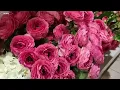 Garden in Slow Motion, Wkh Music - Lo-Fi music with beautiful flowers