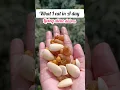 Download Lagu What I eat in A day 🌼 living alone daires #whatsinmyplate #whatieatinaday
