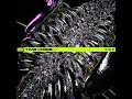 Time Crisis (feat. Elijah Witt) - Darko US
