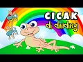Download Lagu Cicak cicak di dinding lagu anak indonesia popoler 20 menit