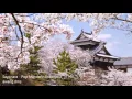 Download Lagu sayonara - Pop Mandarin Indonesia Kenangan