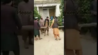 Afghan Taliban Short  Afghan Taliban Short