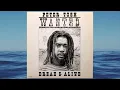 Peter Tosh - Wanted Dread & Alive - Coming in hot - 1981