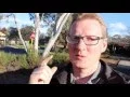 Learn Angular 2 in 21 Days Day 8 Data Binding an ngModel