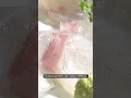 Japan Prime Minister eats Fukushima fish after radioactive wastewater row