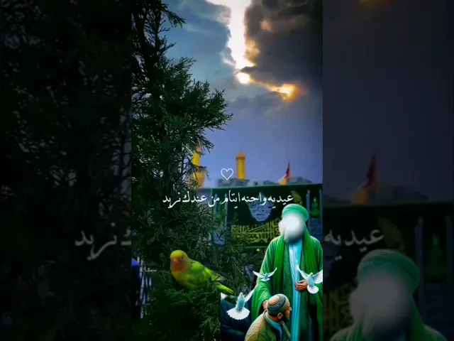 ⁣#ستوريات_انستا  كل عام وانت سيدنا وحبيبنا ومامنا عجل الله لك الفرج