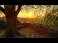 Melorman - 5 O'Clock Spring Time