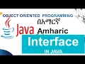 intterface in java with example Amharic