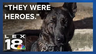 Floyd County Sheriff s Office brings on new K-9 deputy six months after tragedy