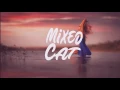 Nico & Vinz - Am I Wrong (Gryffin Remix)