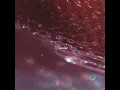 Strawberry Wine - Daphne