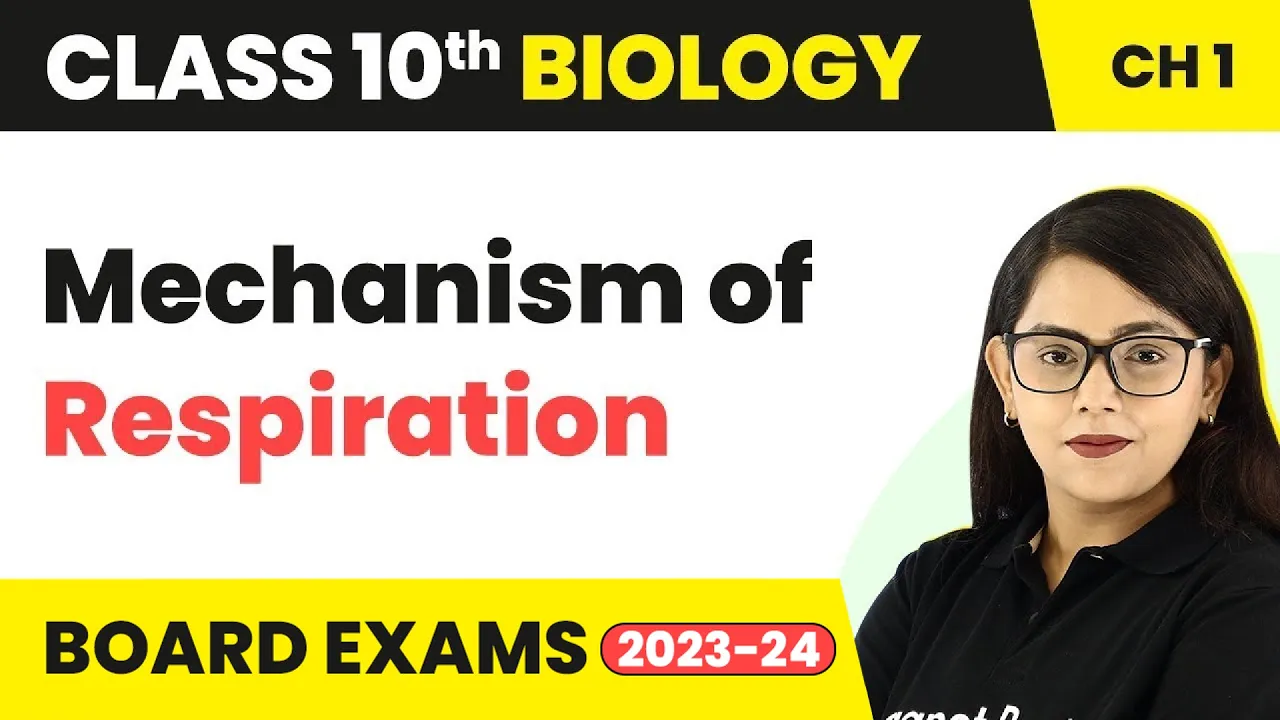 Type of Respiration - Life Process | Class 10 CBSE Biology Chapter 6